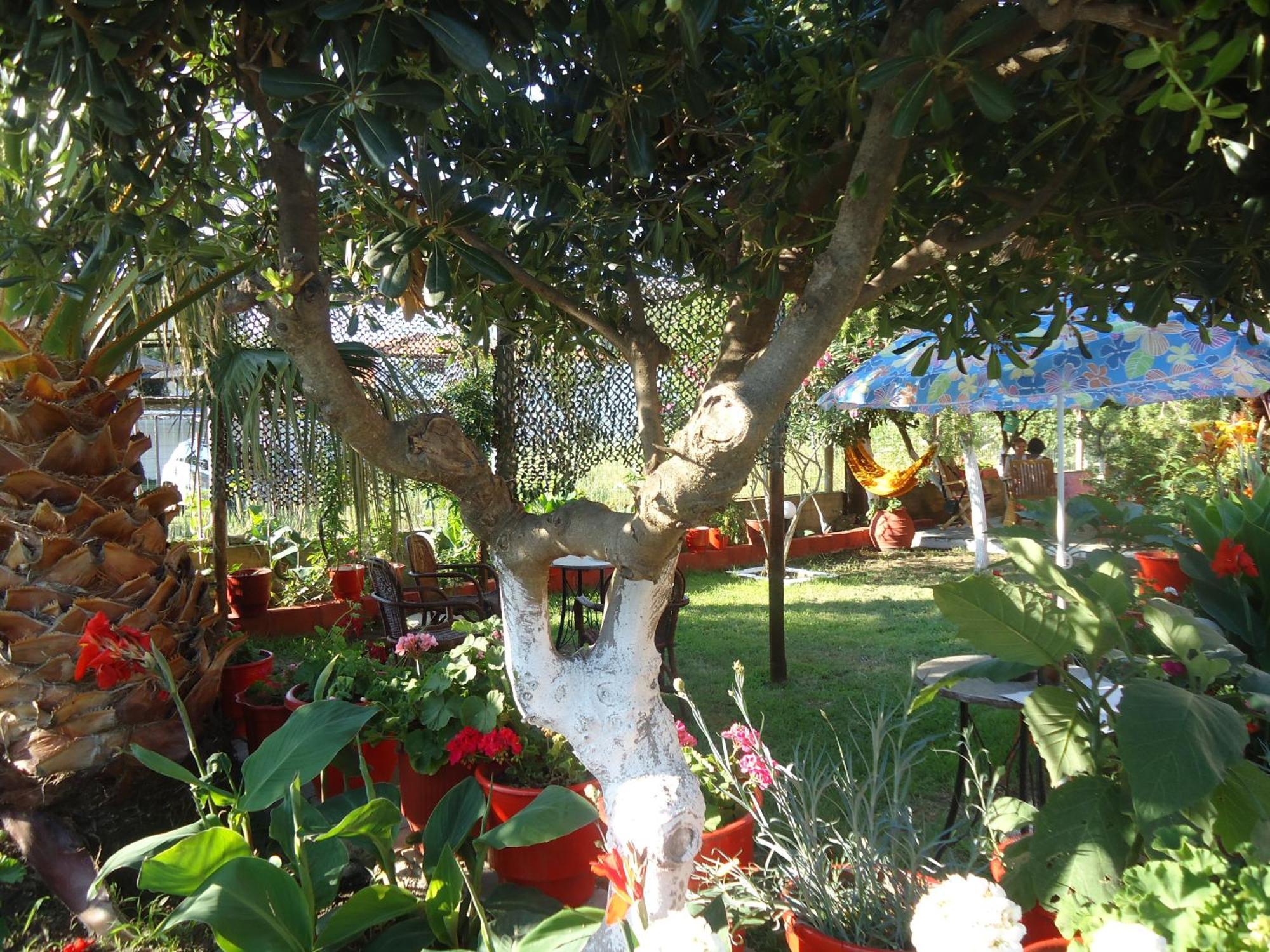 House Souzanna Appartement Toroni Buitenkant foto